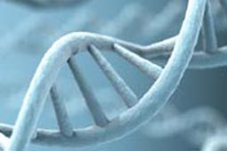 在线电话呼死你